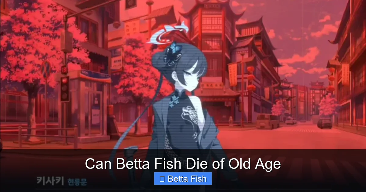 Can Betta Fish Die of Old Age