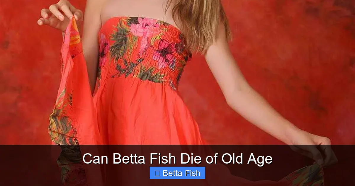 Can Betta Fish Die of Old Age