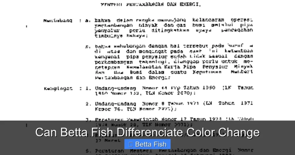Can Betta Fish Differenciate Color Change