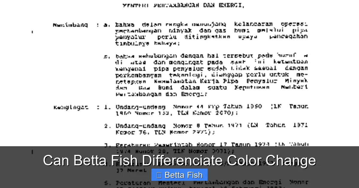 Can Betta Fish Differenciate Color Change
