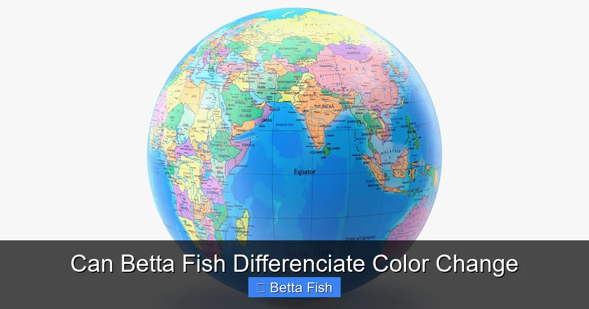 Can Betta Fish Differenciate Color Change