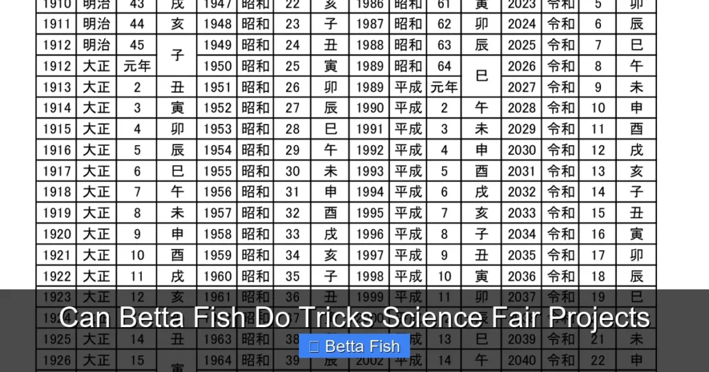 Can Betta Fish Do Tricks Science Fair Projects