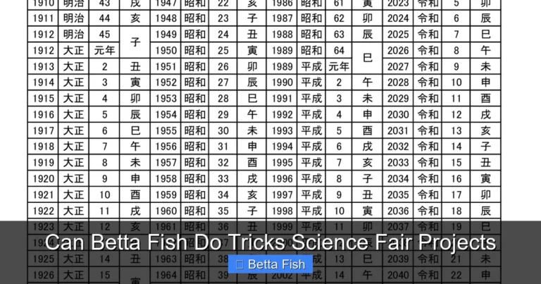 Can Betta Fish Do Tricks Science Fair Projects