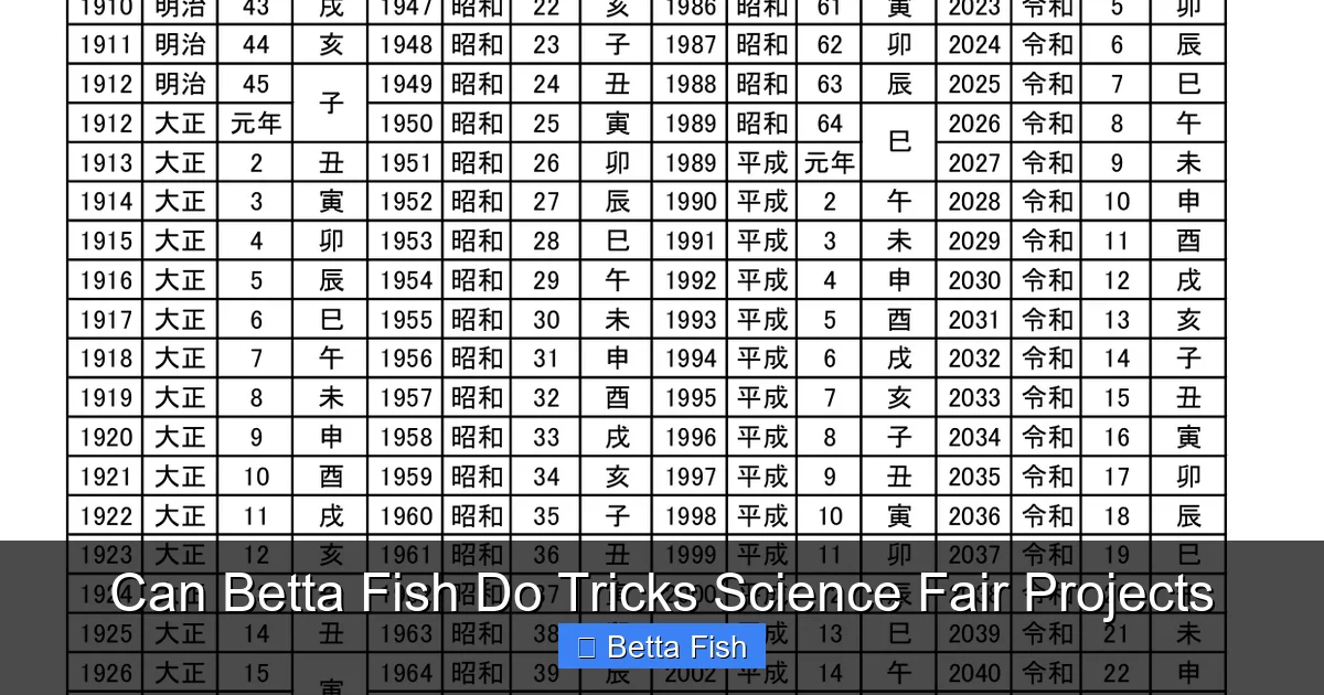Can Betta Fish Do Tricks Science Fair Projects
