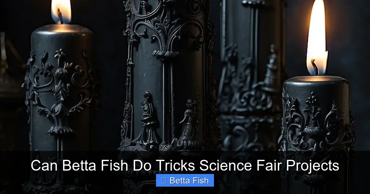 Can Betta Fish Do Tricks Science Fair Projects