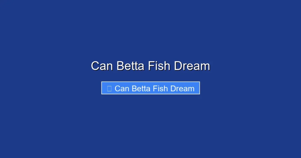 Can Betta Fish Dream