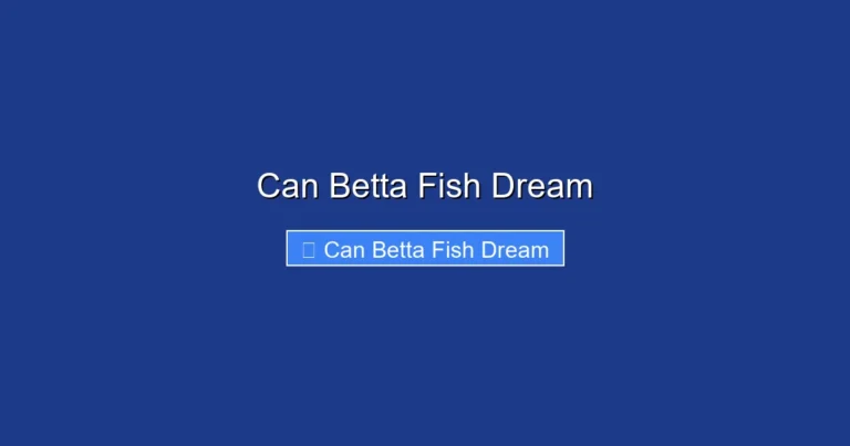 Can Betta Fish Dream