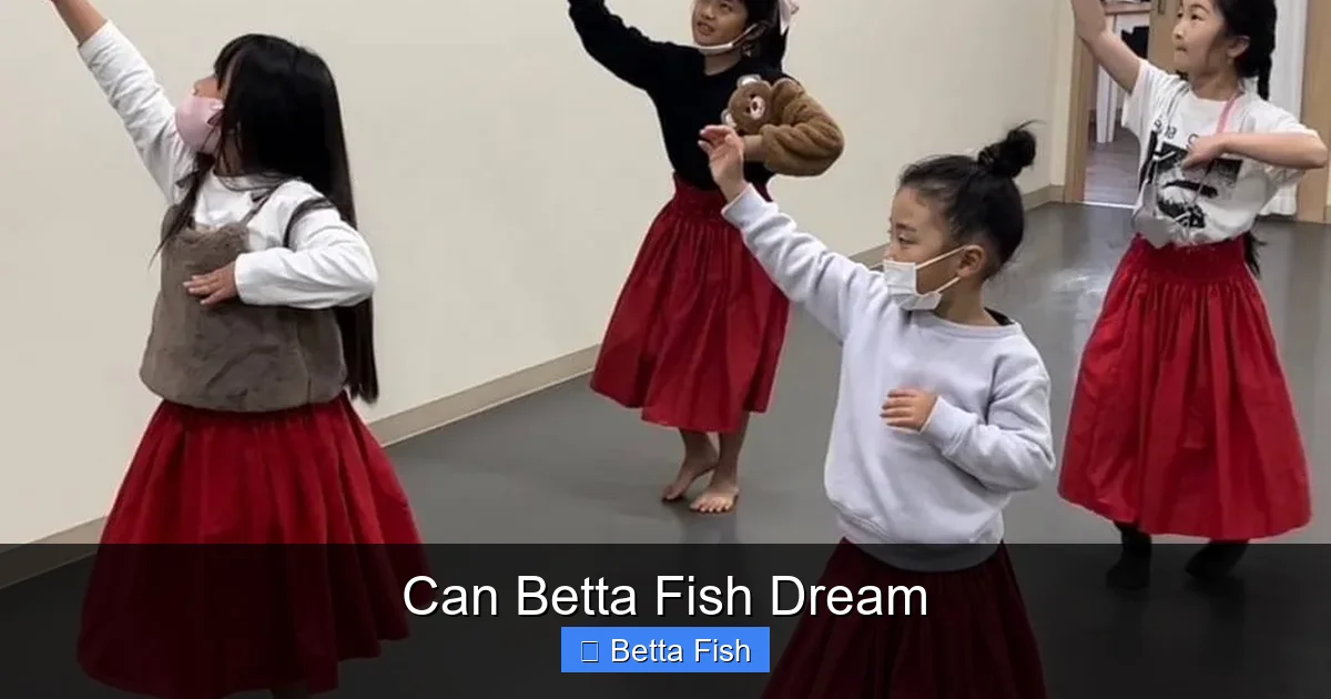 Can Betta Fish Dream