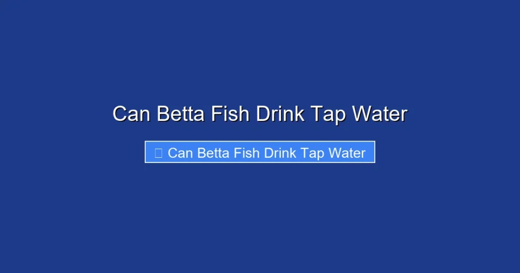 Can Betta Fish Drink Tap Water