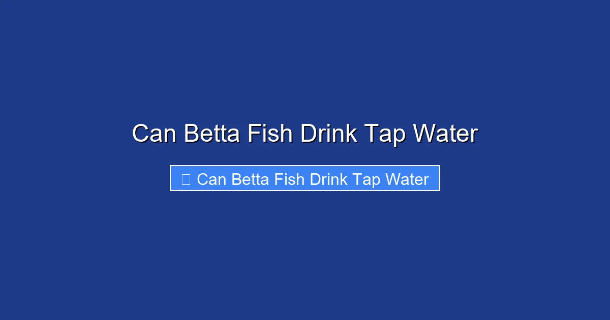Can Betta Fish Drink Tap Water