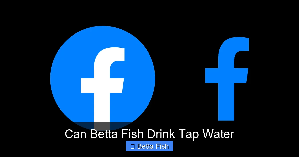 Can Betta Fish Drink Tap Water