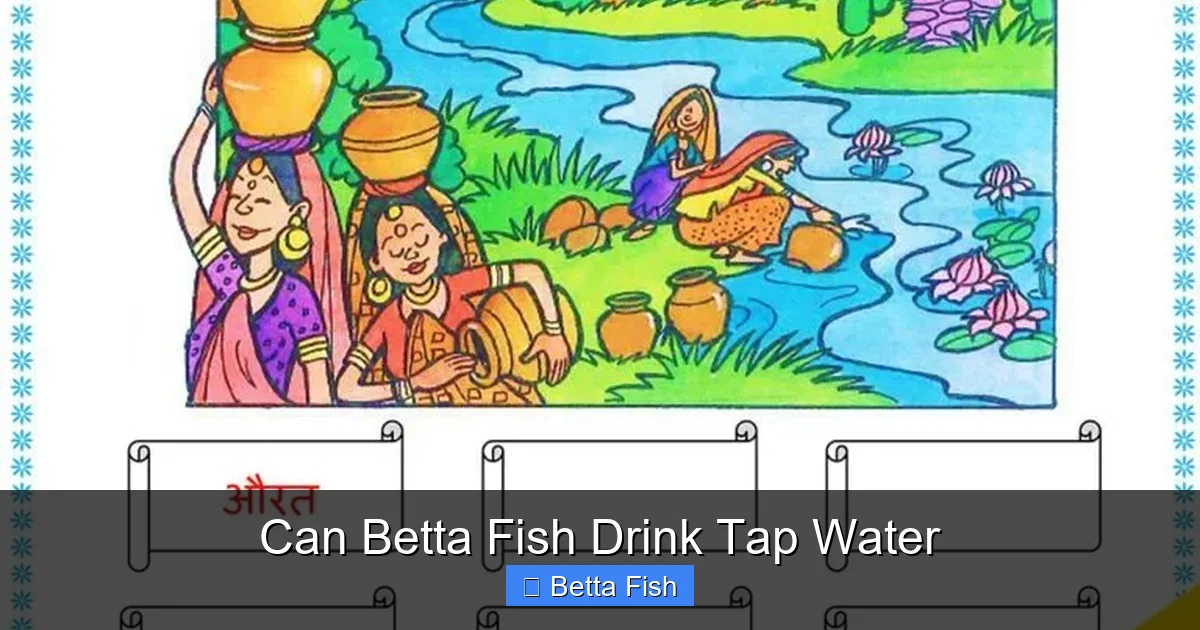 Can Betta Fish Drink Tap Water