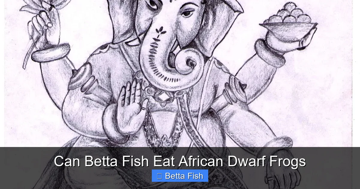 Can Betta Fish Eat African Dwarf Frogs