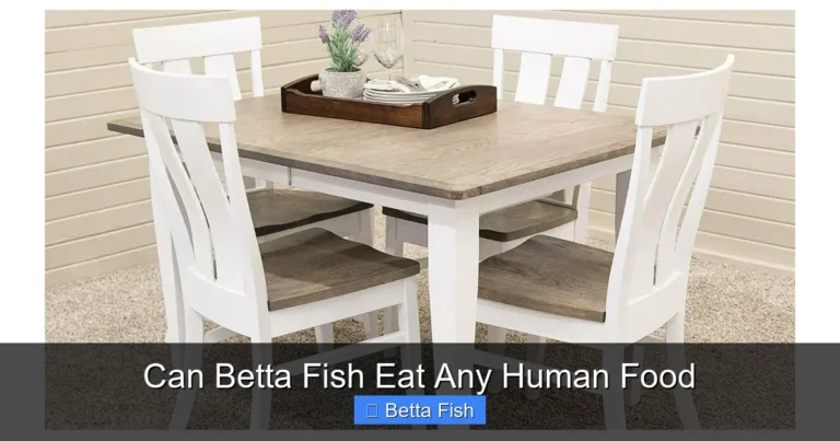 Can Betta Fish Eat Any Human Food