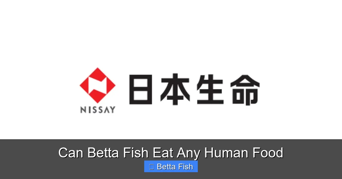 Can Betta Fish Eat Any Human Food