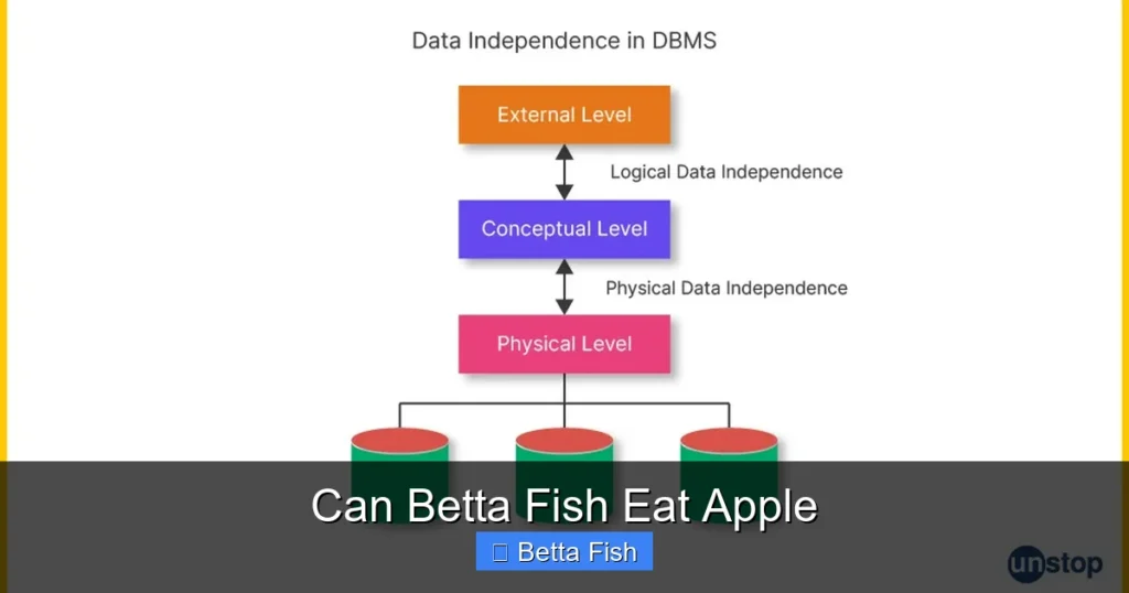 Can Betta Fish Eat Apple