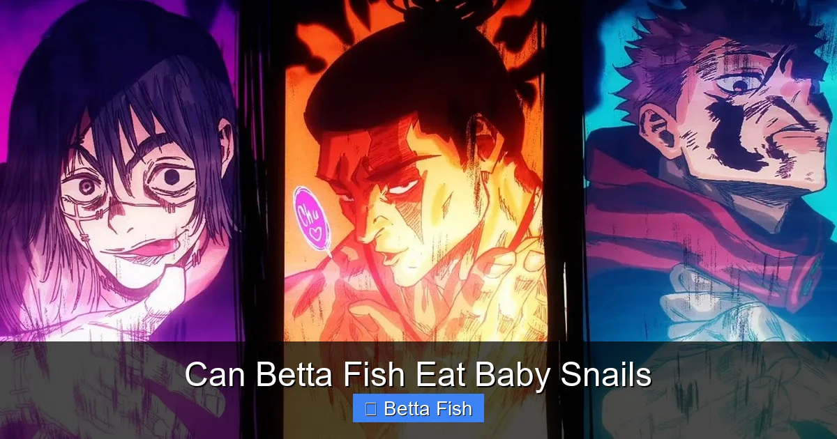 Can Betta Fish Eat Baby Snails