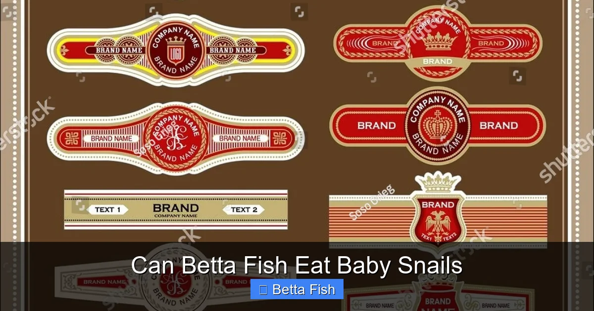 Can Betta Fish Eat Baby Snails