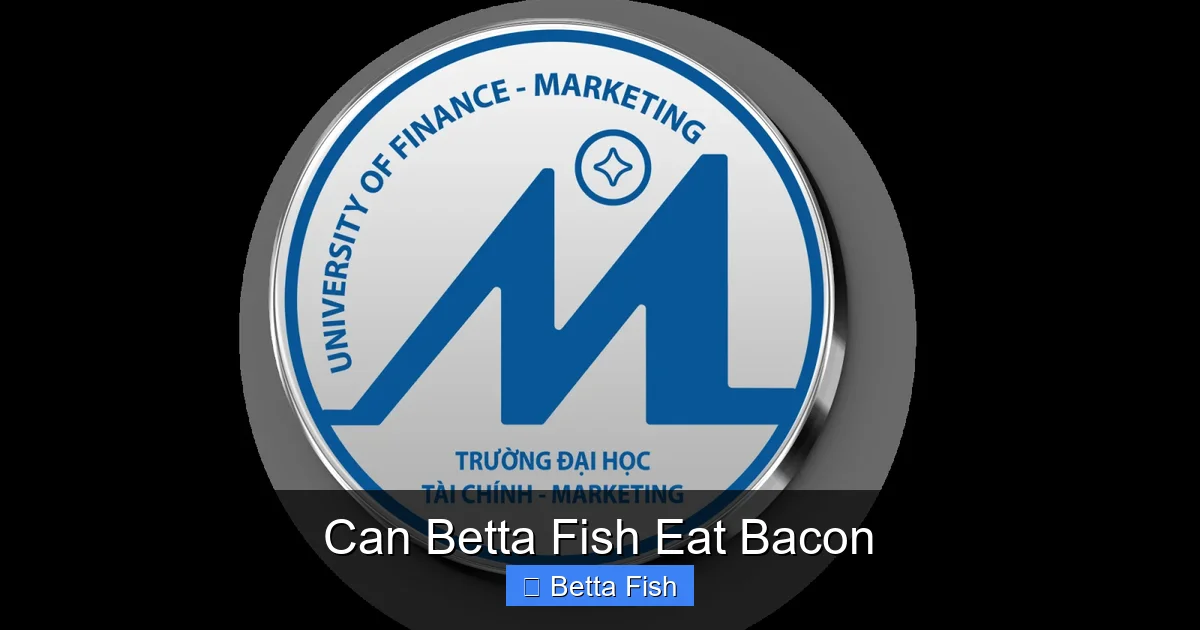 Can Betta Fish Eat Bacon