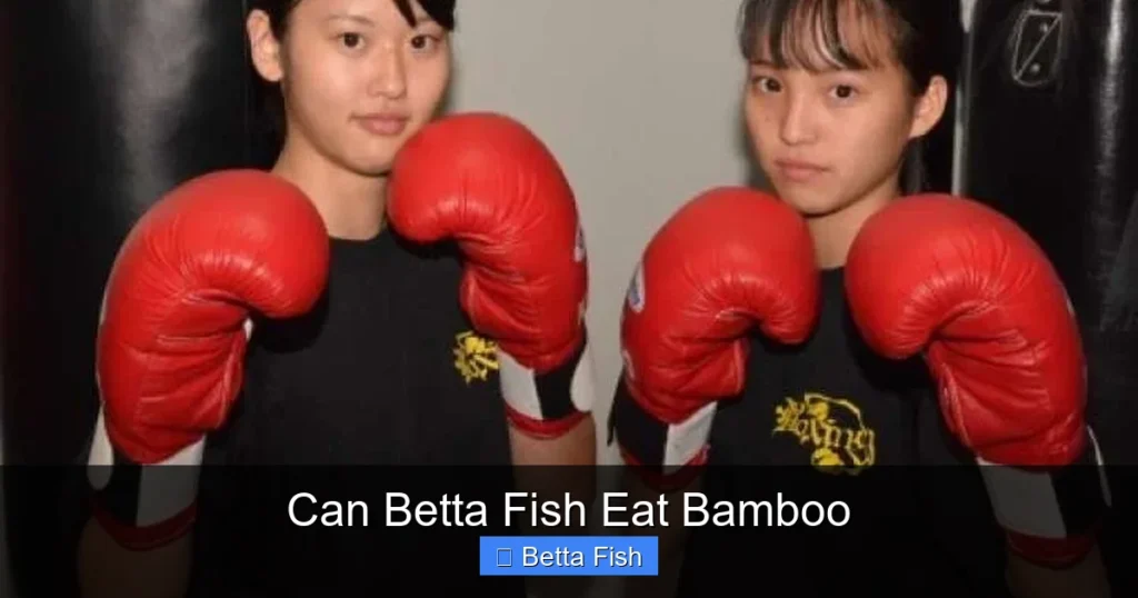 Can Betta Fish Eat Bamboo