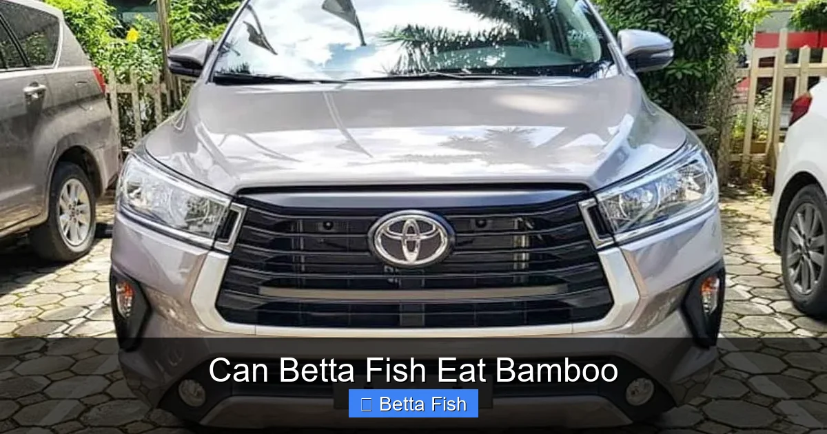Can Betta Fish Eat Bamboo
