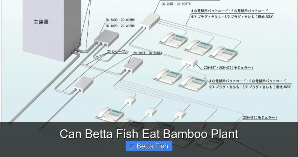 Can Betta Fish Eat Bamboo Plant