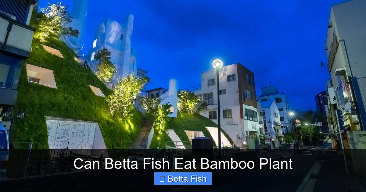 Can Betta Fish Eat Bamboo Plant