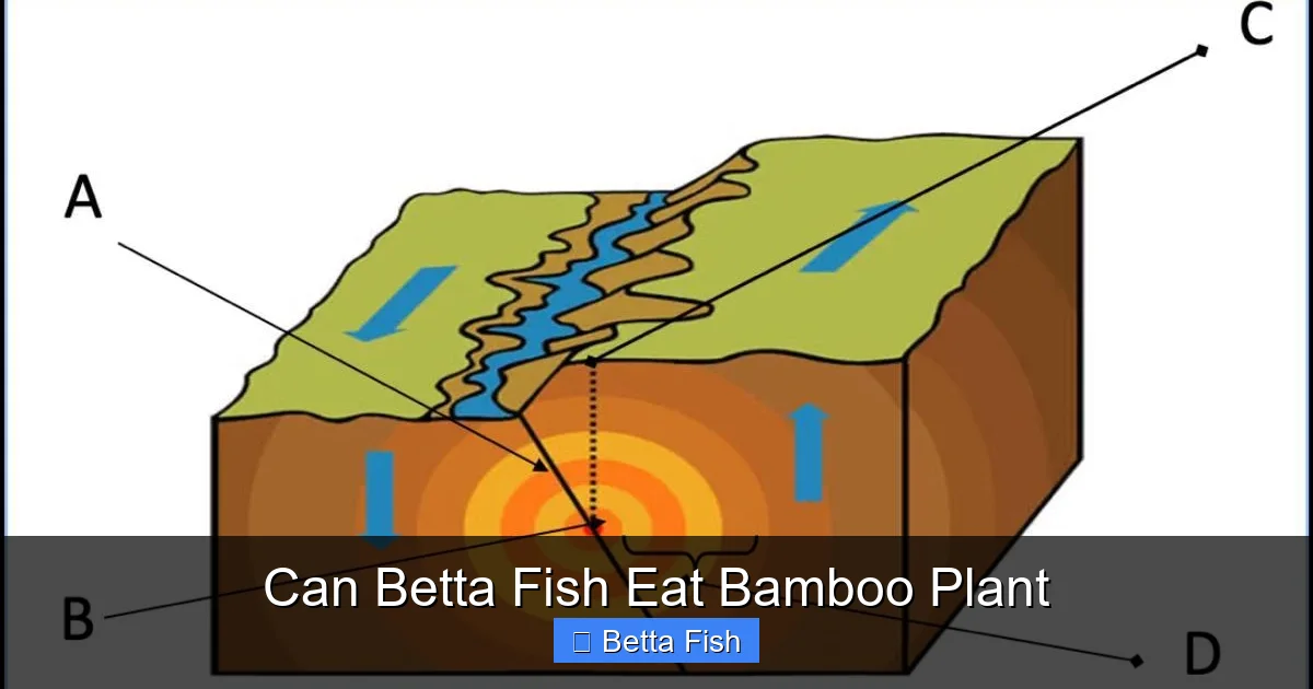 Can Betta Fish Eat Bamboo Plant