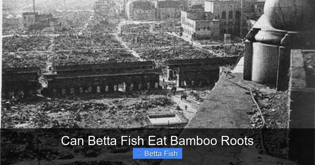 Can Betta Fish Eat Bamboo Roots