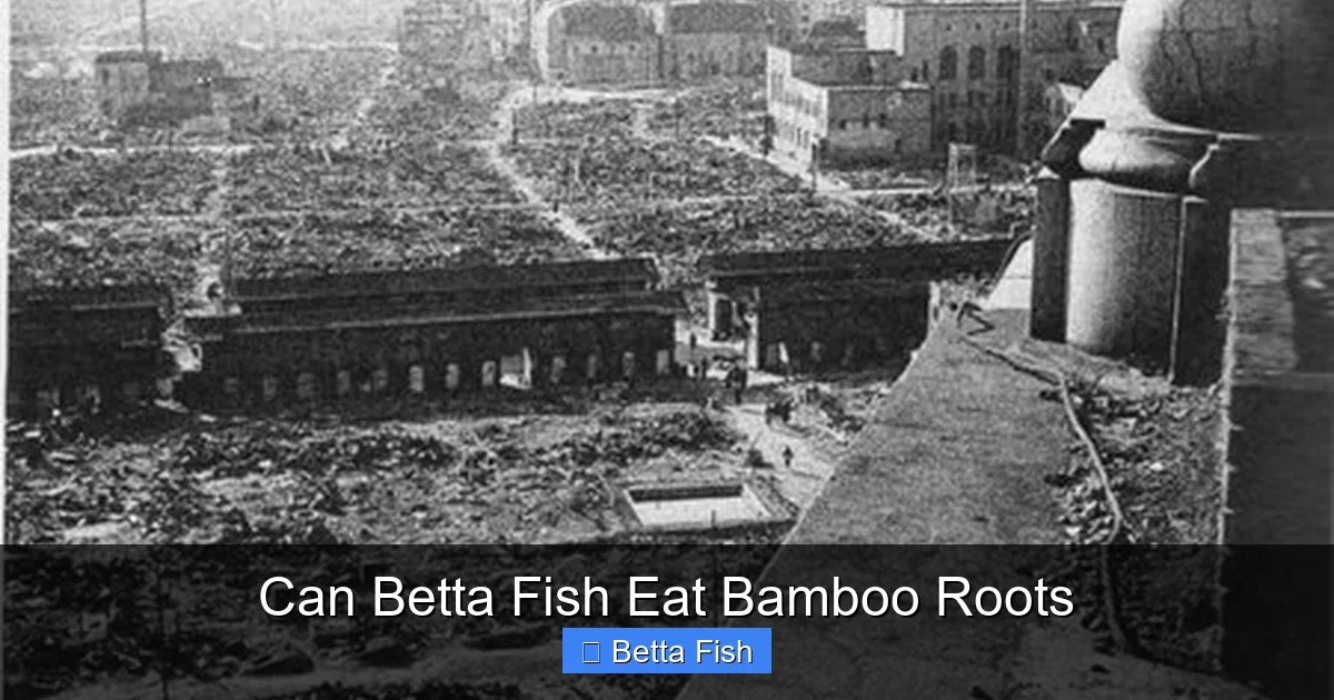 Can Betta Fish Eat Bamboo Roots
