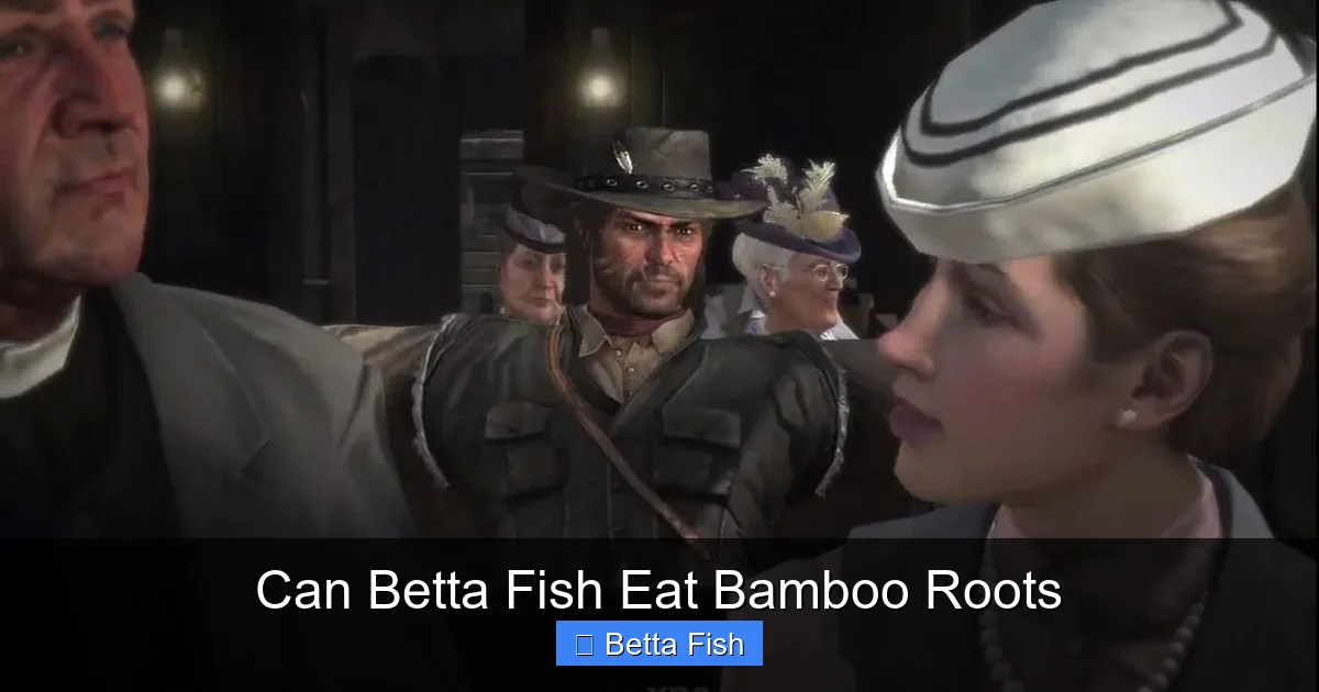 Can Betta Fish Eat Bamboo Roots