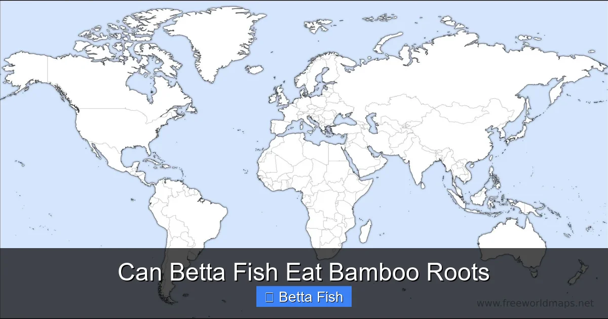 Can Betta Fish Eat Bamboo Roots