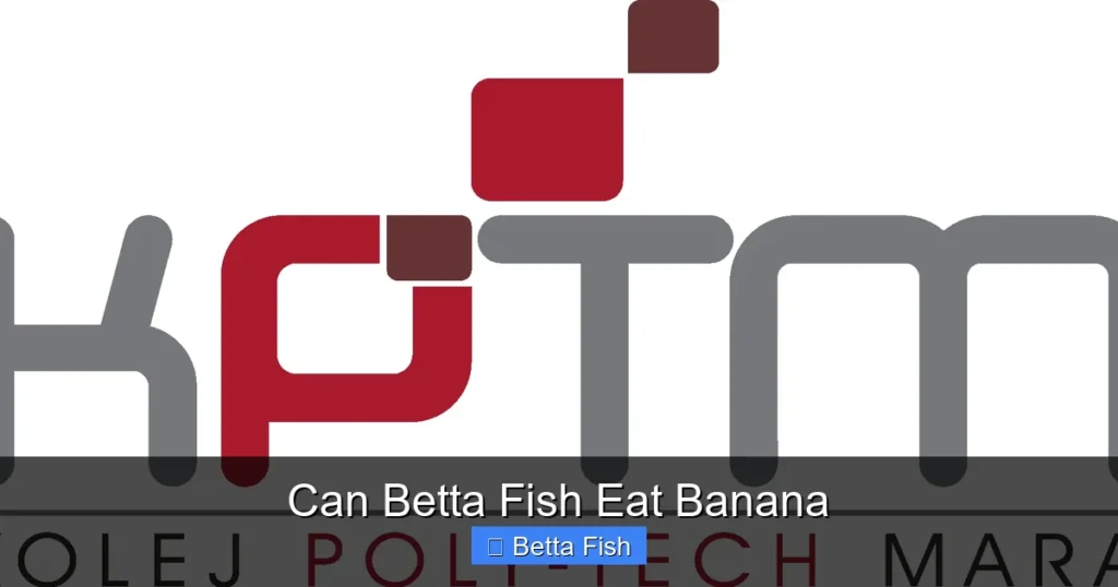 Can Betta Fish Eat Banana