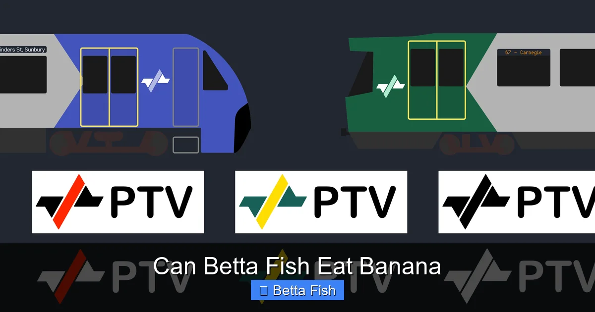 Can Betta Fish Eat Banana