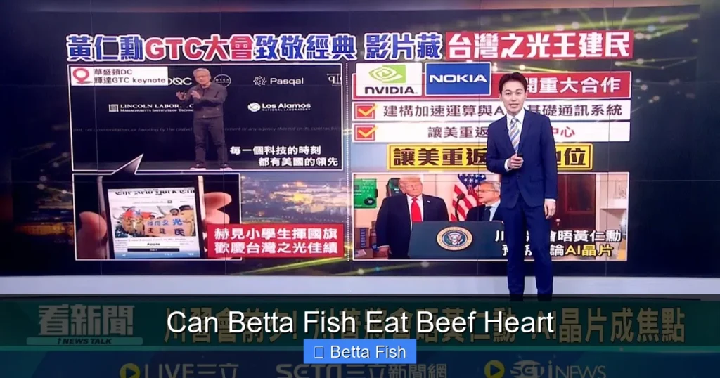 Can Betta Fish Eat Beef Heart