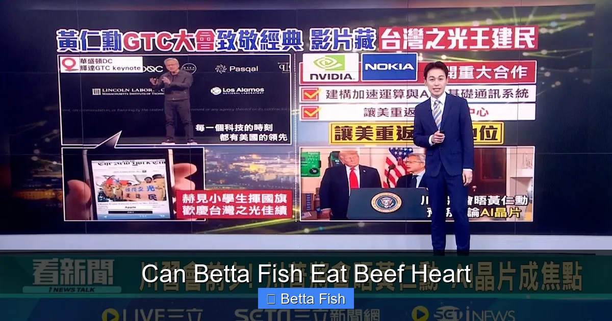 Can Betta Fish Eat Beef Heart