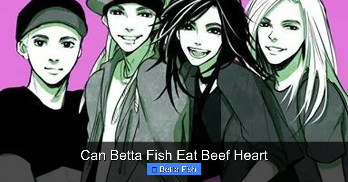 Can Betta Fish Eat Beef Heart