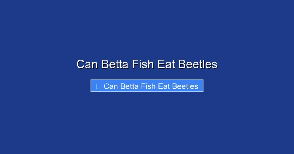 Can Betta Fish Eat Beetles