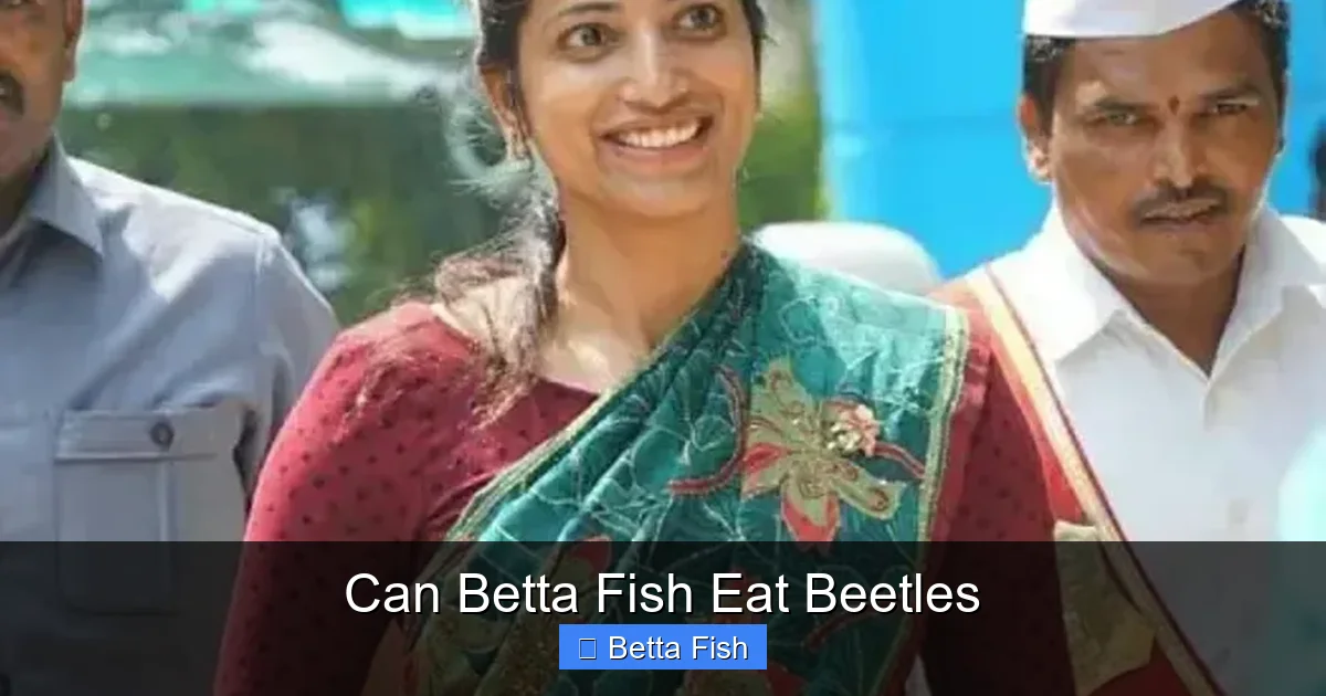 Can Betta Fish Eat Beetles