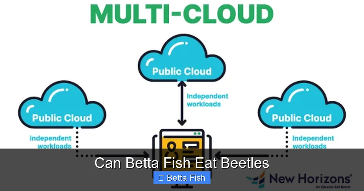 Can Betta Fish Eat Beetles