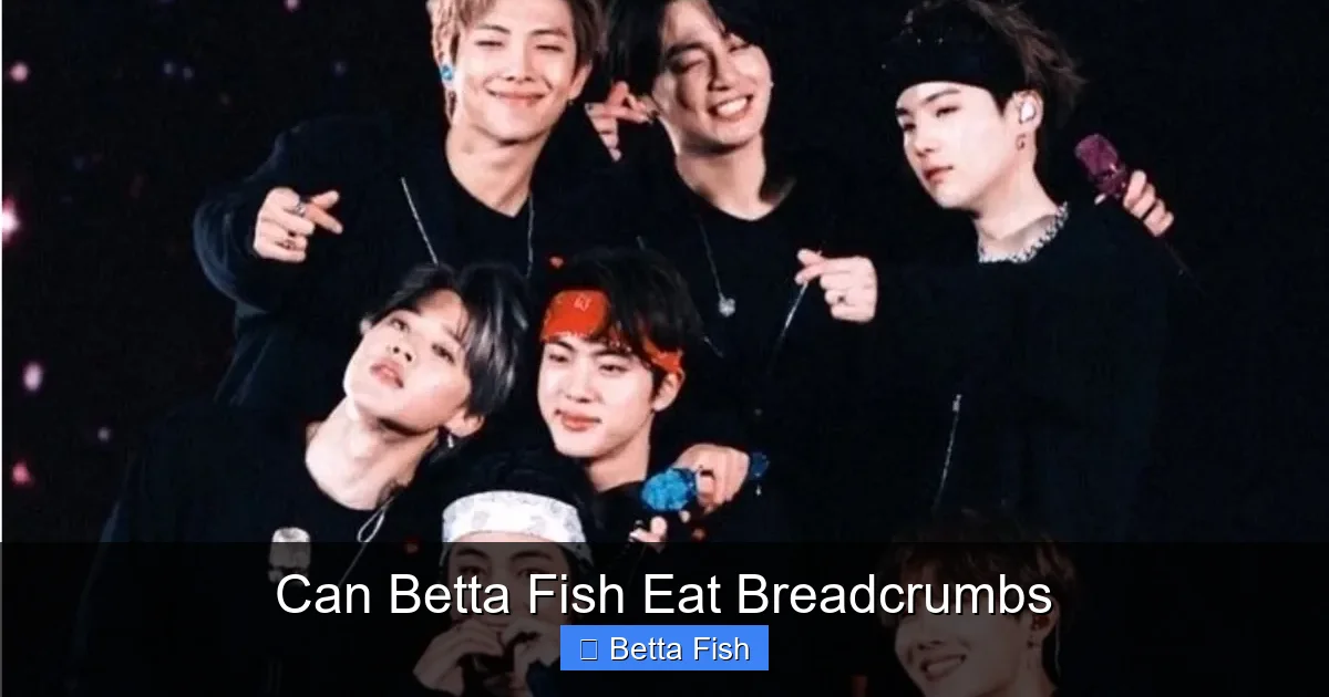 Can Betta Fish Eat Breadcrumbs