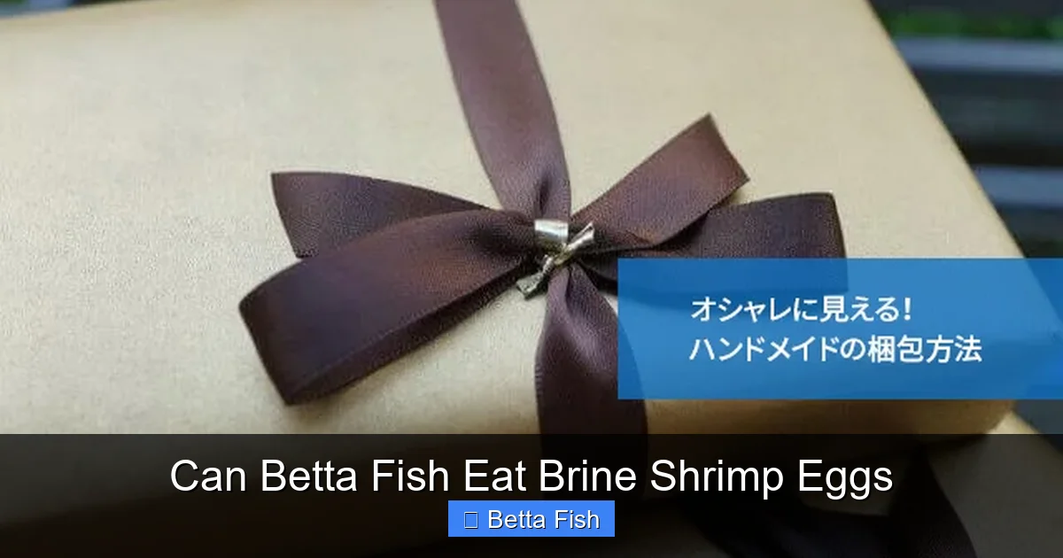 Can Betta Fish Eat Brine Shrimp Eggs