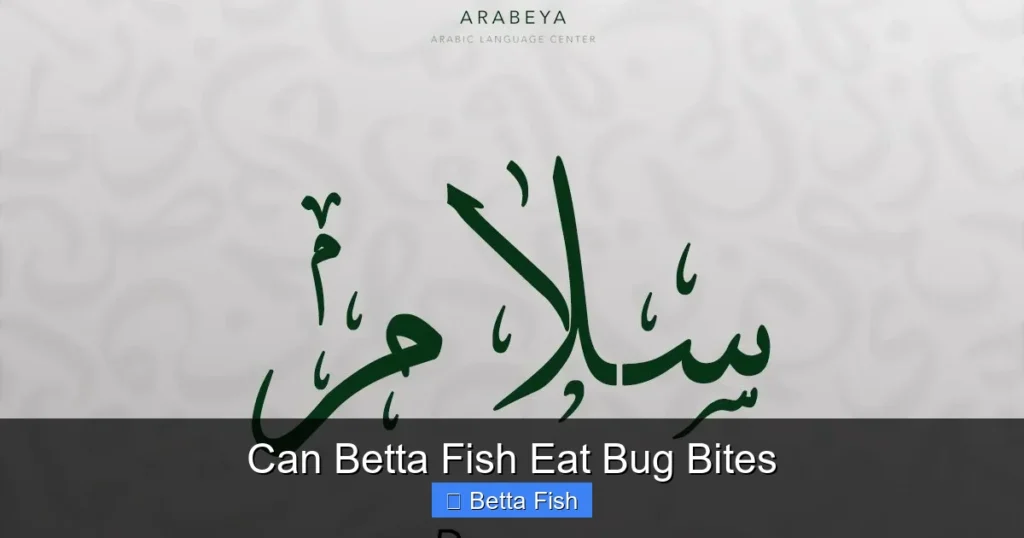 Can Betta Fish Eat Bug Bites