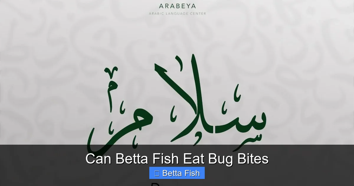 Can Betta Fish Eat Bug Bites