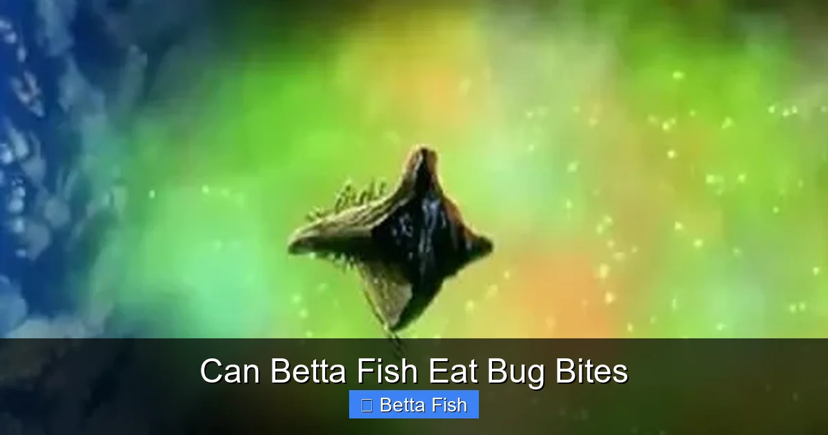 Can Betta Fish Eat Bug Bites
