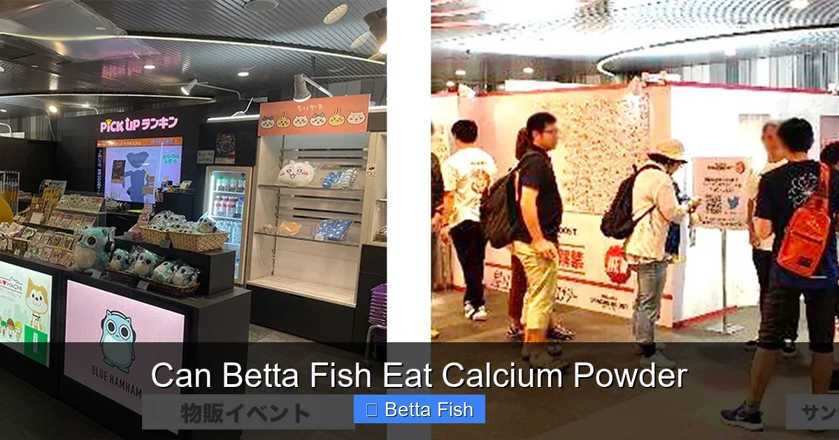 Can Betta Fish Eat Calcium Powder