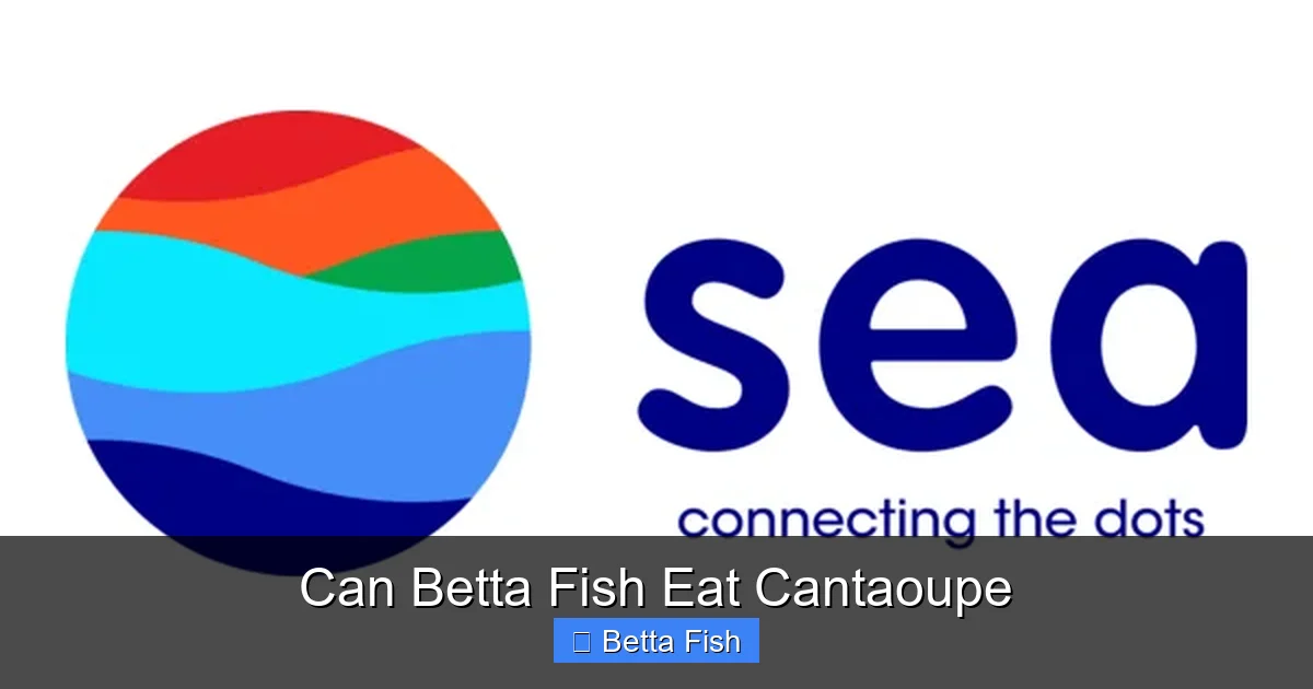 Can Betta Fish Eat Cantaoupe