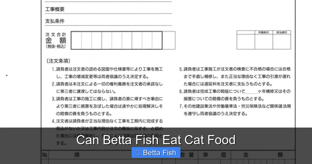 Can Betta Fish Eat Cat Food