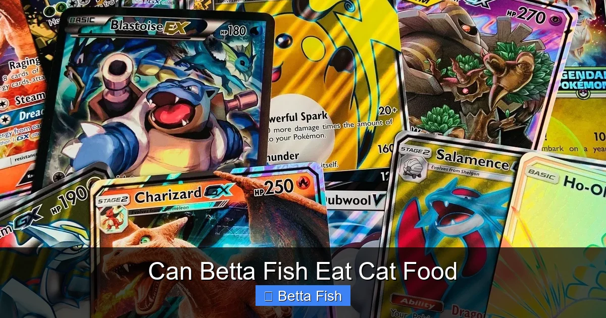 Can Betta Fish Eat Cat Food