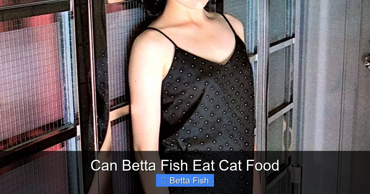Can Betta Fish Eat Cat Food